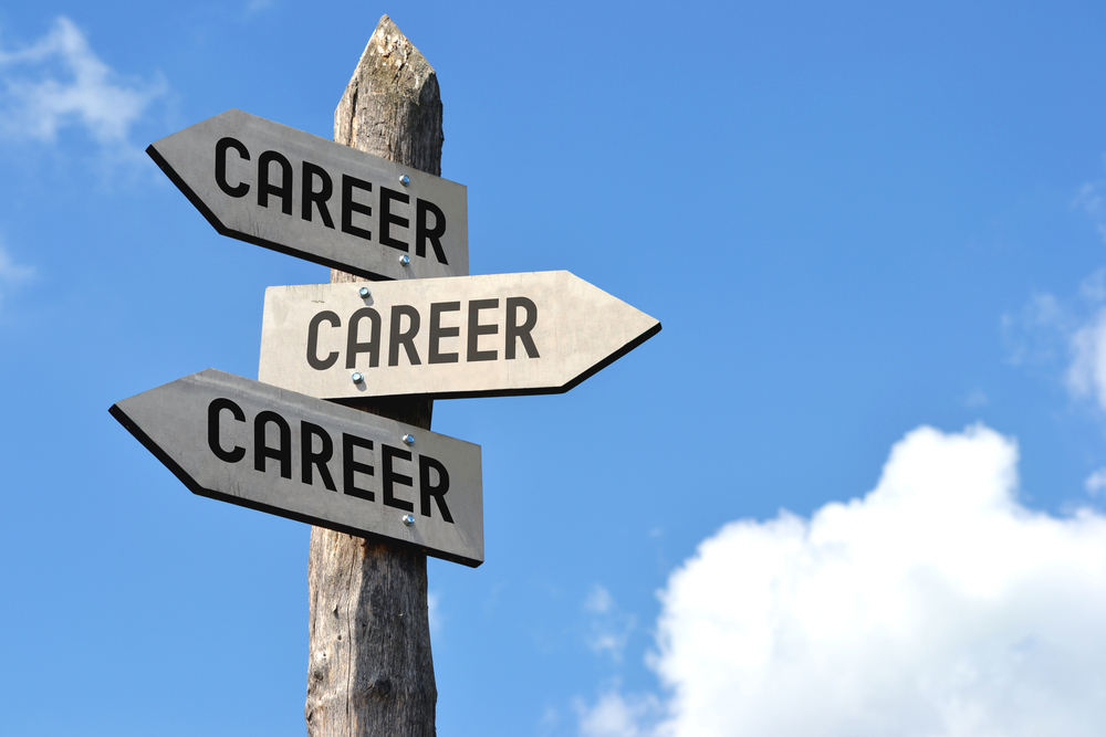 career options career in the cybersecurity industry