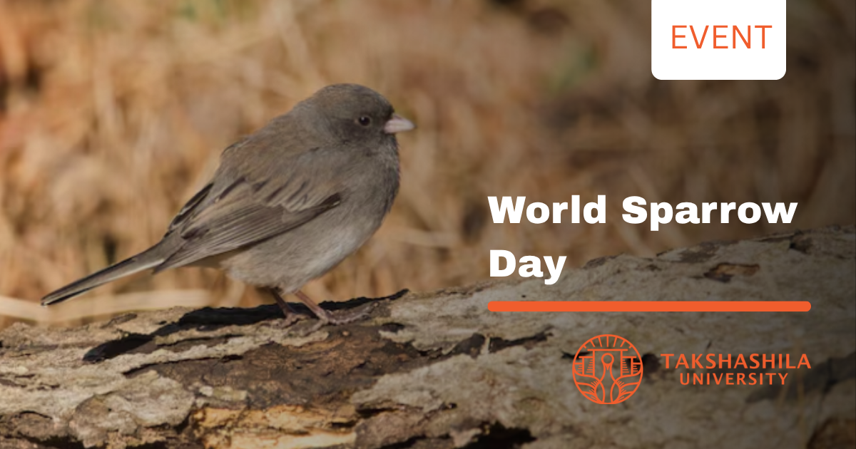 World Sparrow Day banner