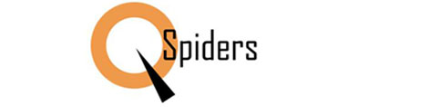 Qspiders