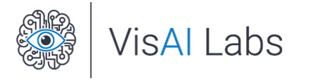 VsiAi Lab