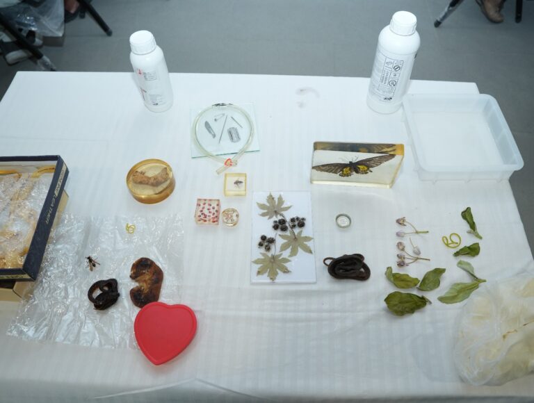 The Purpose of the Workshop Hands-on Plastination Workshop 2